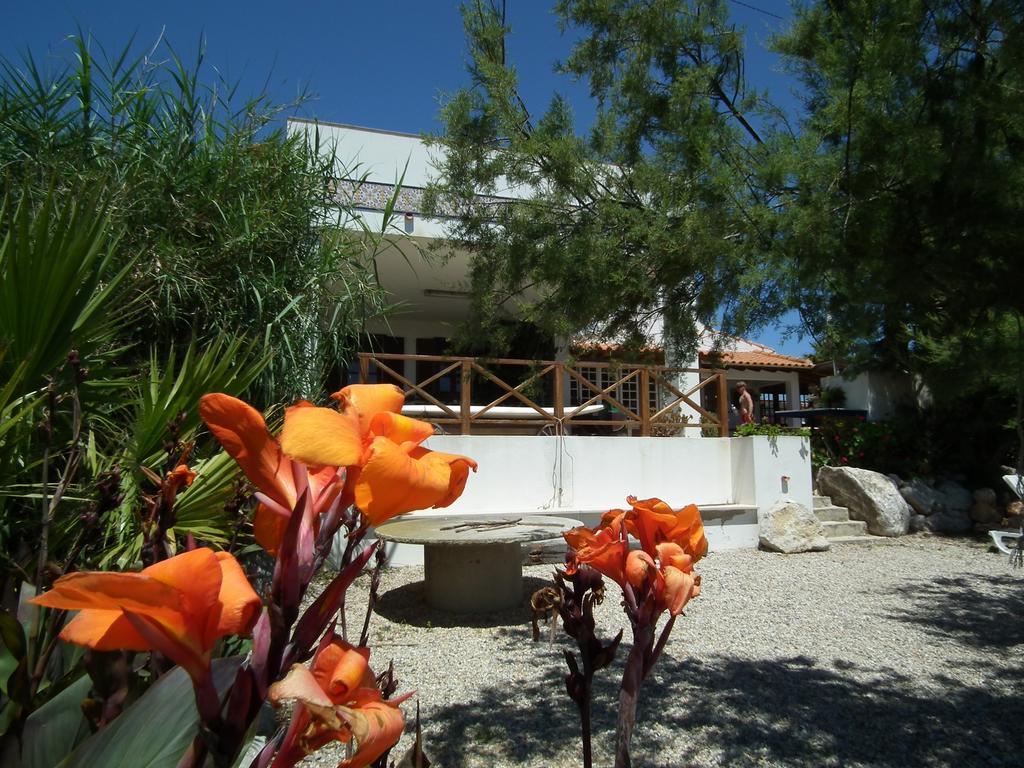 Da Silva Surfcamp Areia Branca Exterior foto